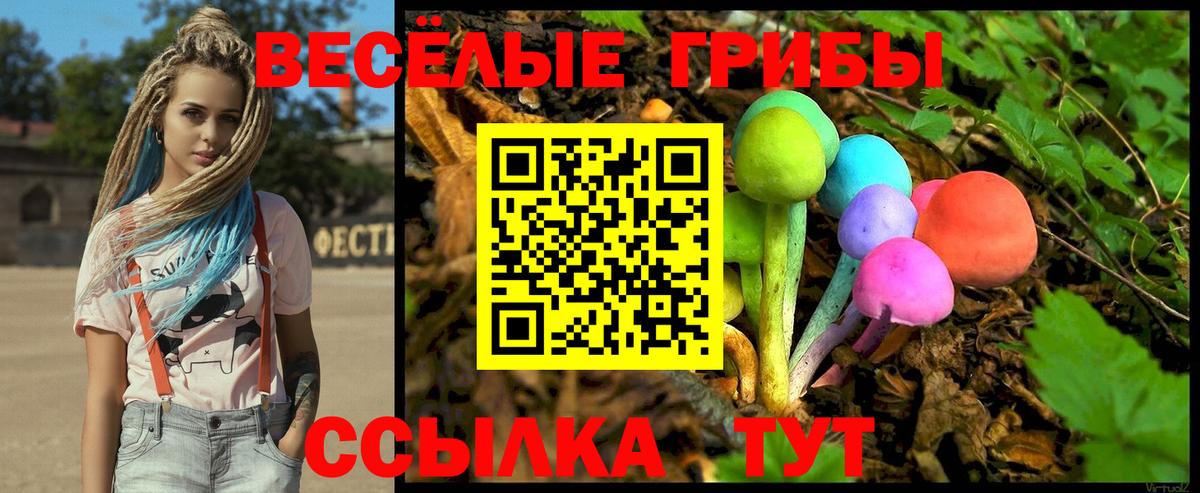 Ленинск-Кузнецкий  Галлюциногенные грибы MAGIC MUSHROOMS  где купить   Вход с VPN 