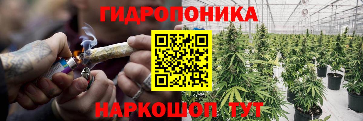 Канабис планчик Ленинск-Кузнецкий